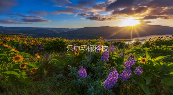 污水處理廠活性污泥法日常管理中，需要監(jiān)測與注意的參數(shù)-樂中環(huán)保