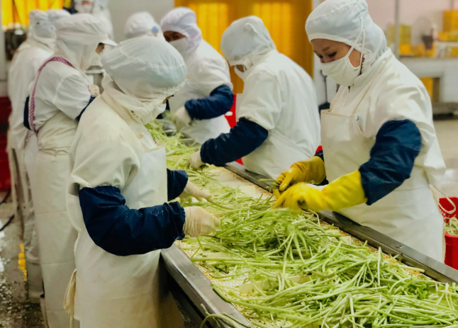 三種食品污水處理設(shè)備工藝流程，看看哪種適合您？