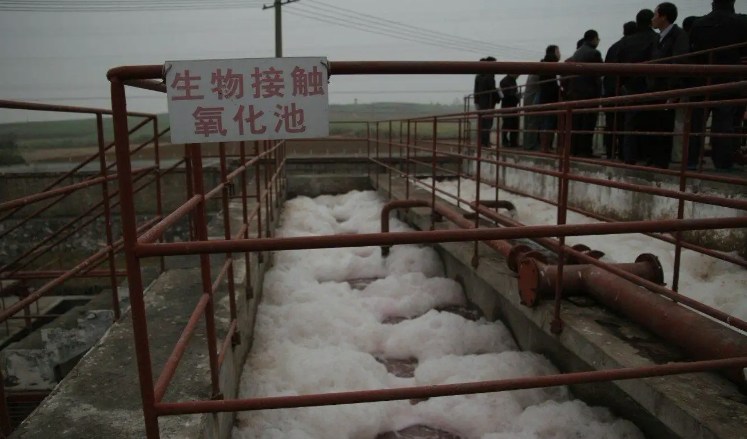 生物接觸氧化池的作用是什么？（生物接觸氧化池去除什么）-01
