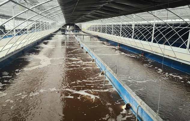 畜禽污水處理的方法、步驟（主流畜禽污水處理工藝有哪些）